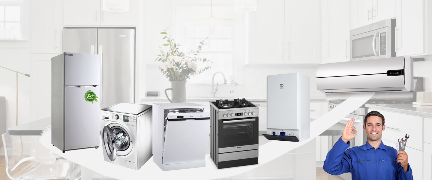 Seyhan Dominox Servisi